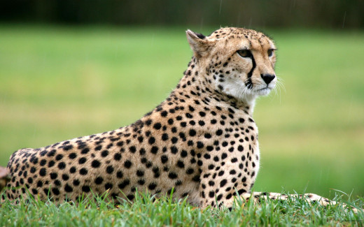 477986 (a): :2560x1600